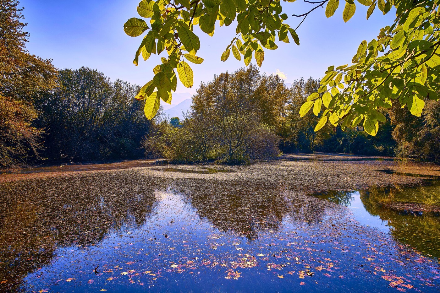 Wasserkanäle und Grün im archäologischen Park der heiligen Quellen von Dion
